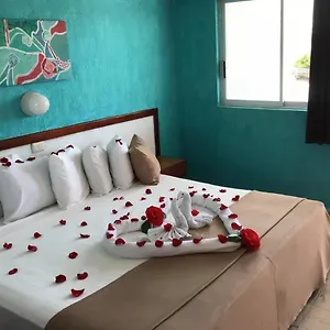 https://agave-azul-cozumel-hotel-diving.allrivieramayahotels.com